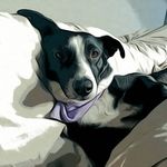 Profile Picture of Erin the Doggo (@badgerydoggo) on Instagram