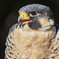 Profile Picture of Edwin Wilke (@edwin-wilke) on Quora