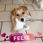 Profile Picture of Nilsa Arroyo Rivera (@nilsaarroyorivera) on Instagram