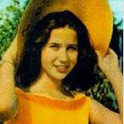 Profile Picture of Naira Shteiwi (@NShteiwi) on Twitter