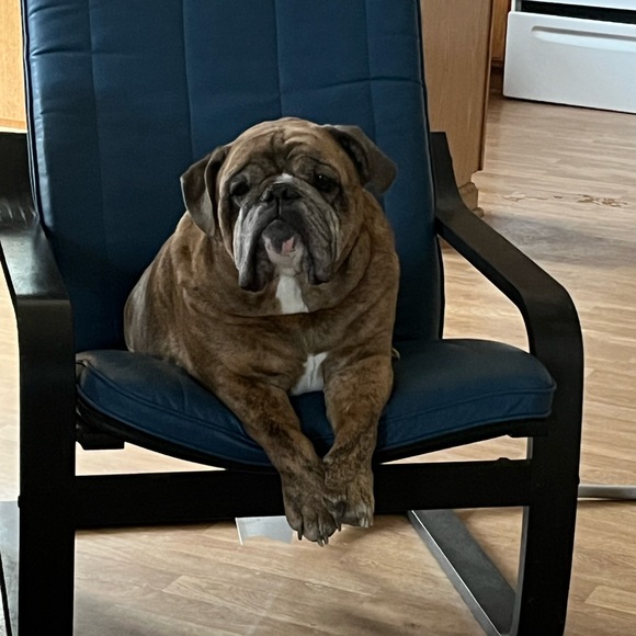 Profile Picture of Kyle Martin (@klrumsey) on Poshmark