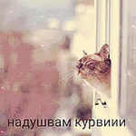 Profile Picture of Dimo Goranov (@honor9474) on Flickr
