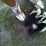 Profile Picture of Karen Acree (@karen_acree) on Instagram