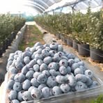 Profile Picture of Derek Hazard (@Derek-Hazard) on Facebook