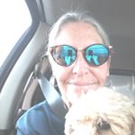 Profile Picture of Laurie Calhoun Winemiller (@lauriewine55) on Instagram