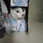 Profile Picture of Jim Stigers (@jim.stigers.2025) on Facebook