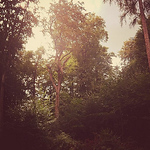 Profile Picture of Steffen Landow (@bylandow) on Flickr