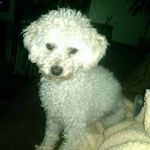 Profile Picture of Rachael Jaramillo (@rachaelkay57) on Instagram