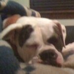 Profile Picture of Joe Callaway (@j03ishere) on Instagram