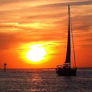 Profile Picture of paul (@paulsoden2) on Tiktok