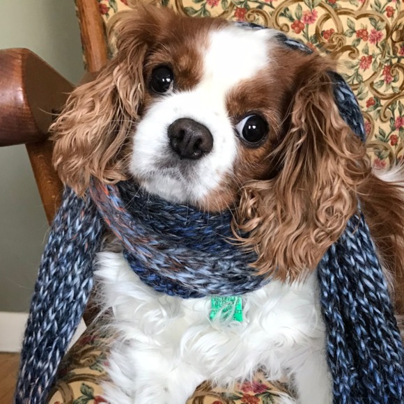 Profile Picture of Anne Gates (@pennysmart1) on Poshmark