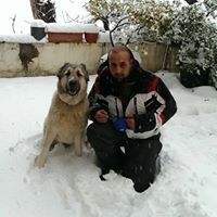 Profile Picture of George Sakr (@george_sakr) on Pinterest