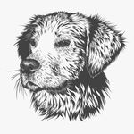 Profile Picture of Bob Design (@craftbobdesign) on Instagram