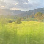 Profile Picture of Anika Forbes (@Anika-Forbes) on Facebook