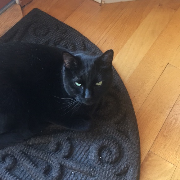 Profile Picture of Anne Schmidt (@aschmid8) on Poshmark