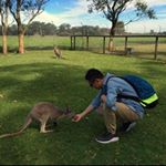 Profile Picture of Bryan Peng (@peng.bryan) on Instagram