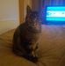 Profile Picture of Craig Fenton (@craig.fenton.547) on Facebook
