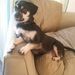 Profile Picture of Dawn Michelle (@legs21) on Pinterest