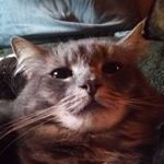 Profile Picture of joy bradley (@joy_e_s_bradley) on Instagram