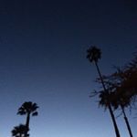 Profile Picture of Justin Catron (@f_stopmuse) on Instagram