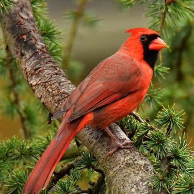 Profile Picture of Ann Boring (@AnnBoring2) on Twitter