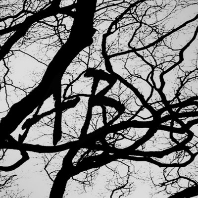 Profile Picture of Aaron Bessemer (@AaronBessemer) on Twitter