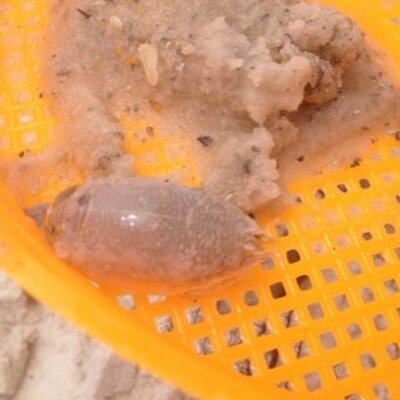 Profile Picture of Justin Fite (@justinfite) on Twitter