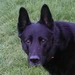 Joseph Lewicki - Instagram Profile Picture of Joseph Lewicki (@lewickijoseph) on Instagram