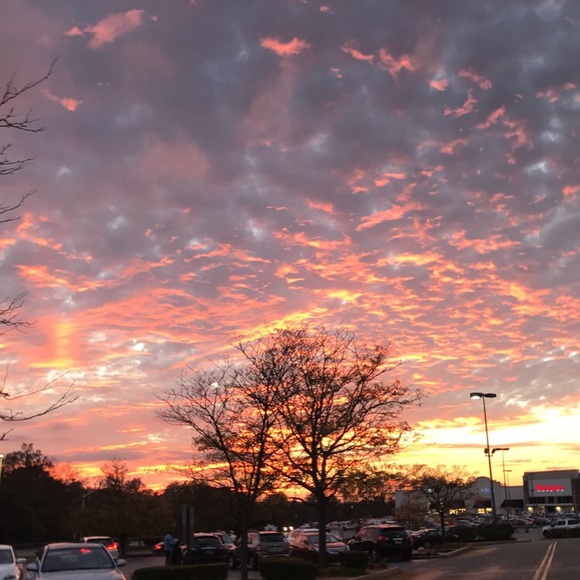 Profile Picture of Julia Cavaliere (@jcavaliere2016) on Poshmark