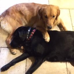 Profile Picture of Kim Goforth (@kpgoforth1) on Twitter