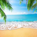 Profile Picture of Steve Johanson (@steve.johanson.9822) on Instagram