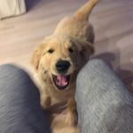 Profile Picture of George Conley (@sirgeorgeconley) on Instagram