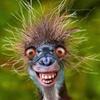 Profile Picture of Brad Bourassa (@@bradbourassa) on Tiktok