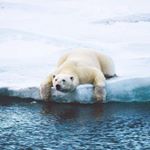 דוב כותב ואוהב - Instagram Profile Picture of דוב כותב ואוהב (@dov_kotev_veohev) on Instagram