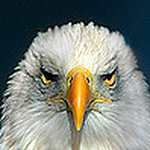 Profile Picture of Frank Sorger (@frank sorger) on Flickr