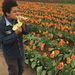 Profile Picture of nsayi matingou (@nsayim3) on Pinterest