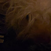 Profile Picture of Dominick Chavez (@dominickchavez-x4z) on Youtube