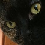 Profile Picture of Melissa Diaz (@melileanna) on Flickr