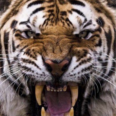 Profile Picture of Jose Partida (@alberto_ph1) on Twitter