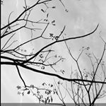 Profile Picture of Alexander Mota Martínez (@alexandermotamartinez) on Instagram