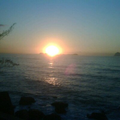 Profile Picture of Fernanda Roiff (@froiff) on Twitter