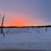 Profile Picture of Julia Matson (@@juliamatson) on Tiktok