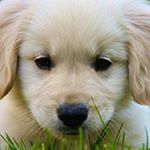 Profile Picture of christopher (@beatsontheground) on Instagram