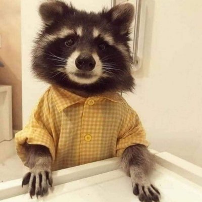 Profile Picture of Official Dan Mossman (@DanMossman6109) on Twitter