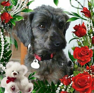 Profile Picture of Lilice Lemelle (@lilice.lemelle) on Facebook