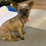 Profile Picture of Sheryl Moore (@slmoore1971) on Instagram