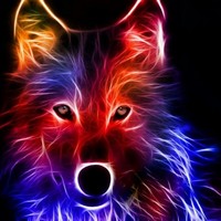 Profile Picture of Dustin Bolin (@dustin-bolin-1) on Quora