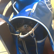 Profile Picture of John Baer (@paintboyne) on Youtube