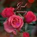 Profile Picture of Amrit Mattu (@amrit.mattu.16121) on Facebook