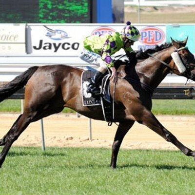 Profile Picture of Lisa Enright (@L_EnrightRacing) on Twitter